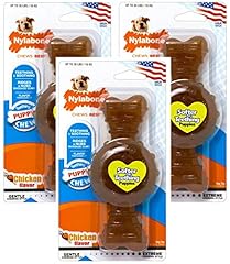 Nylabone pack puppy for sale  Delivered anywhere in USA 