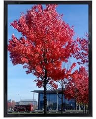 12x16 picture frame for sale  Delivered anywhere in USA 