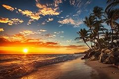 Sunset tropical beach for sale  Delivered anywhere in USA 