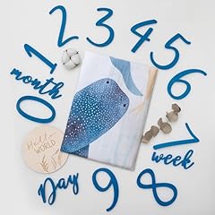 Miaoberry ocean baby for sale  Delivered anywhere in USA 
