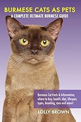 Burmese cats pets for sale  Delivered anywhere in UK