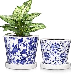 Oairse set blue for sale  Delivered anywhere in UK