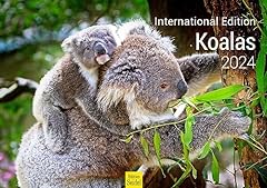 Edition seidel koalas for sale  Delivered anywhere in Ireland