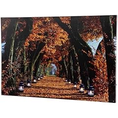 Northlight led lighted for sale  Delivered anywhere in USA 