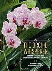 Orchid whisperer expert for sale  Delivered anywhere in USA 