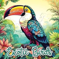 Exotic birds coloring for sale  Delivered anywhere in USA 