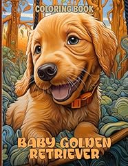 Baby golden retriever for sale  Delivered anywhere in USA 