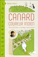 canard indien d'occasion  Livré partout en France