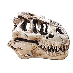 Rex skull dinosaur for sale  Delivered anywhere in USA 