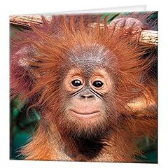 Livelife greeting card for sale  Delivered anywhere in USA 