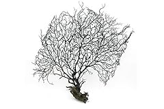 28cm big black for sale  Delivered anywhere in UK