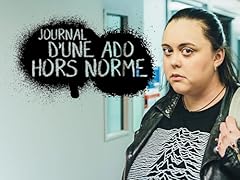 Journal ado norme d'occasion  Livré partout en France