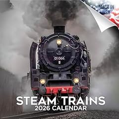 2025 2026 steam for sale  Delivered anywhere in USA 