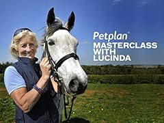 Petplan masterclass lucinda for sale  Delivered anywhere in UK
