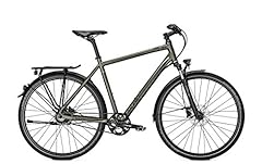 Raleigh rushhour 8.0 usato  Spedito ovunque in Italia 