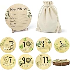 Bchko meilensteinkarten baby gebraucht kaufen  Wird an jeden Ort in Deutschland