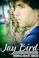 Jay bird for sale  Delivered anywhere in UK