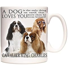 Cavalier king charles for sale  Delivered anywhere in UK