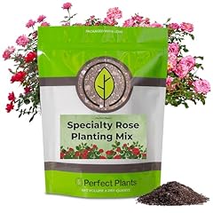 Specialty rose planting for sale  Delivered anywhere in USA 