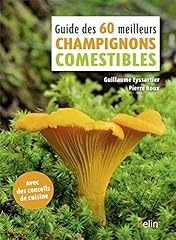 Guide meilleurs champignons d'occasion  Livré partout en France