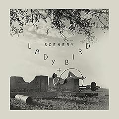 Lady bird cassette for sale  Delivered anywhere in UK