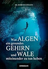 Algen gesundes gehirn gebraucht kaufen  Wird an jeden Ort in Deutschland