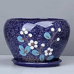Buncc european blue for sale  Delivered anywhere in USA 