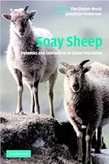 Soay sheep dynamics for sale  Delivered anywhere in USA 