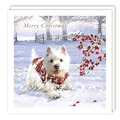 Festive westie puppy for sale  Delivered anywhere in UK