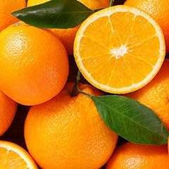 Piante arancio varietà usato  Spedito ovunque in Italia 