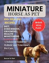 Miniature horse pet for sale  Delivered anywhere in UK
