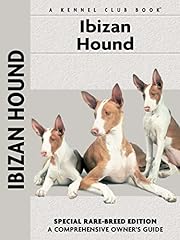 Ibizan hound for sale  Delivered anywhere in UK