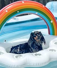 Vickea inflatable rainbow for sale  Delivered anywhere in USA 