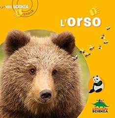 Orso usato  Spedito ovunque in Italia 