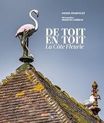 Toit toit côte d'occasion  Livré partout en Belgiqu