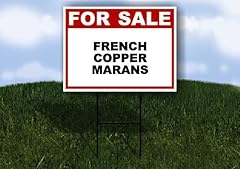 French copper marans for sale  Delivered anywhere in USA 