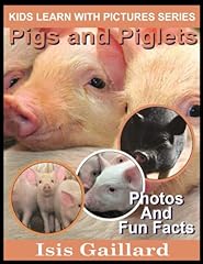 Pigs piglets fun for sale  Delivered anywhere in USA 
