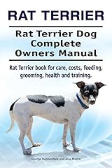 Rat terrier. rat for sale  Delivered anywhere in USA 