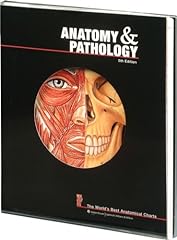 Anatomy pathology best for sale  Delivered anywhere in USA 