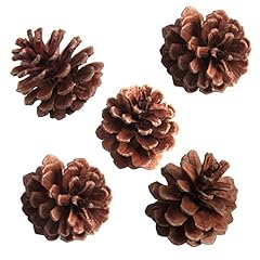 Sbyure pack pinecones for sale  Delivered anywhere in USA 