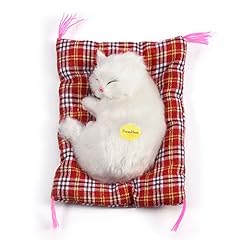 Adorabile gatto addormentato usato  Spedito ovunque in Italia 