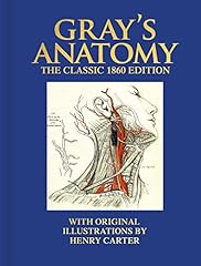 Gray anatomy classic for sale  Delivered anywhere in UK