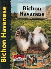 Bichon havanese d'occasion  Livré partout en Belgiqu