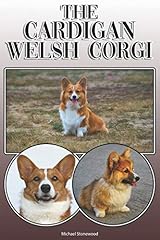 Cardigan welsh corgi for sale  Delivered anywhere in UK
