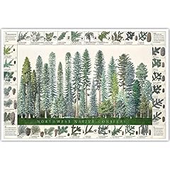 Northwest native conifers for sale  Delivered anywhere in USA 