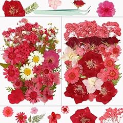 Dried flowers resiners for sale  Delivered anywhere in USA 