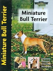 Miniature bull terrier usato  Spedito ovunque in Italia 