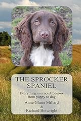 Sprocker spaniel everything for sale  Delivered anywhere in UK