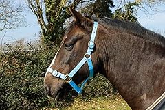 Rhinegold nylon headcollar for sale  Delivered anywhere in UK