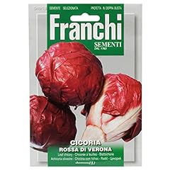 Franchi radicchio palla for sale  Delivered anywhere in UK